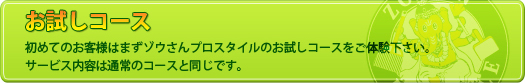 家事代行 お試しコース