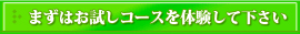 家事代行お試しコースのご案内